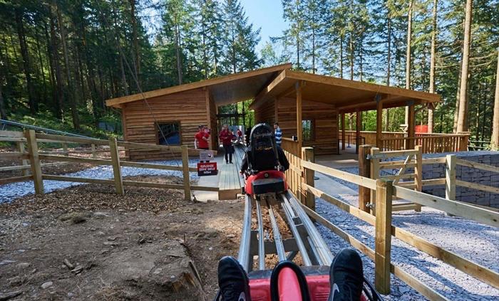 Fforest Coaster